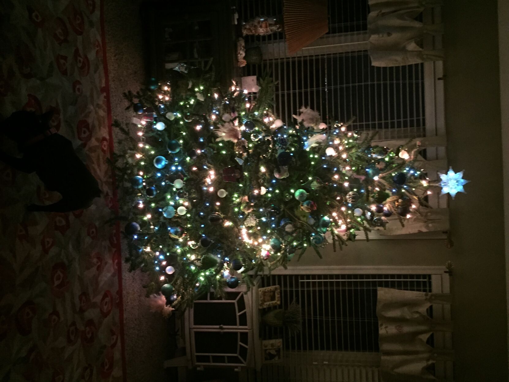 The-Cavells-tree-Ocean-Pines